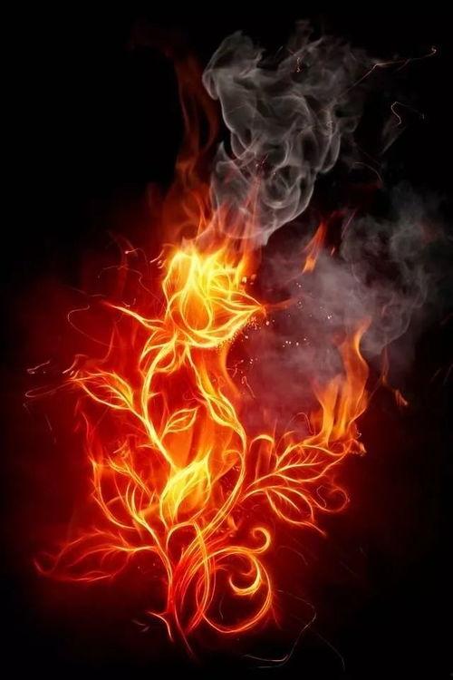 火焰玫瑰图片,炽热激情的视觉盛宴