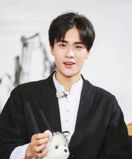 190男明星,魅力与才华并存的璀璨星河