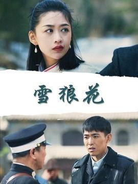 雪狼 演员表,实力派明星齐聚一堂，演绎热血传奇